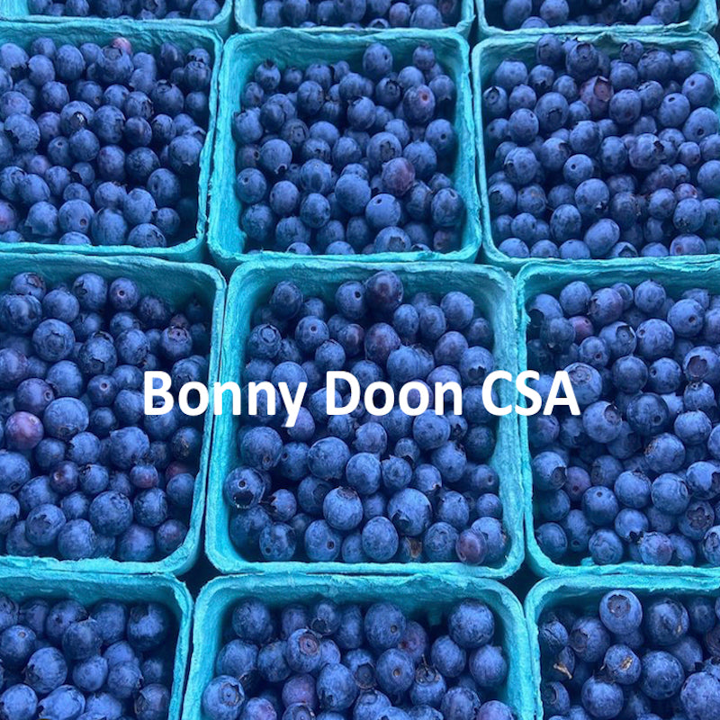 1 -Bonny Doon 2024 Fall CSA - Individual and Family Shares