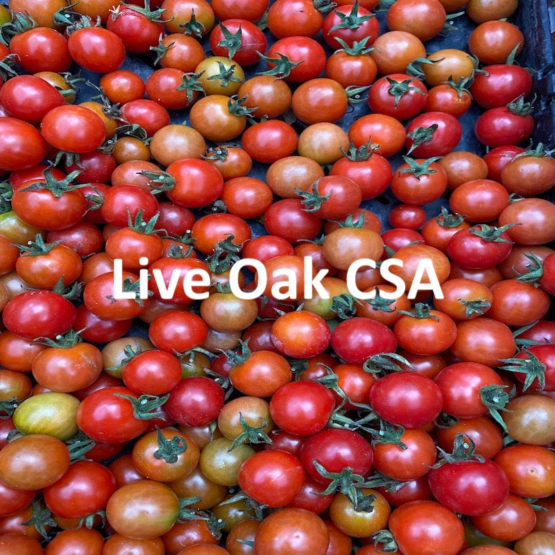 1- Live Oak / Eastside Santa Cruz 2024 Fall CSA - Individual and Family Shares