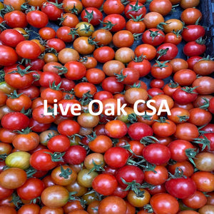 1- Live Oak / Eastside Santa Cruz 2024 Summer CSA - Individual and Family Shares